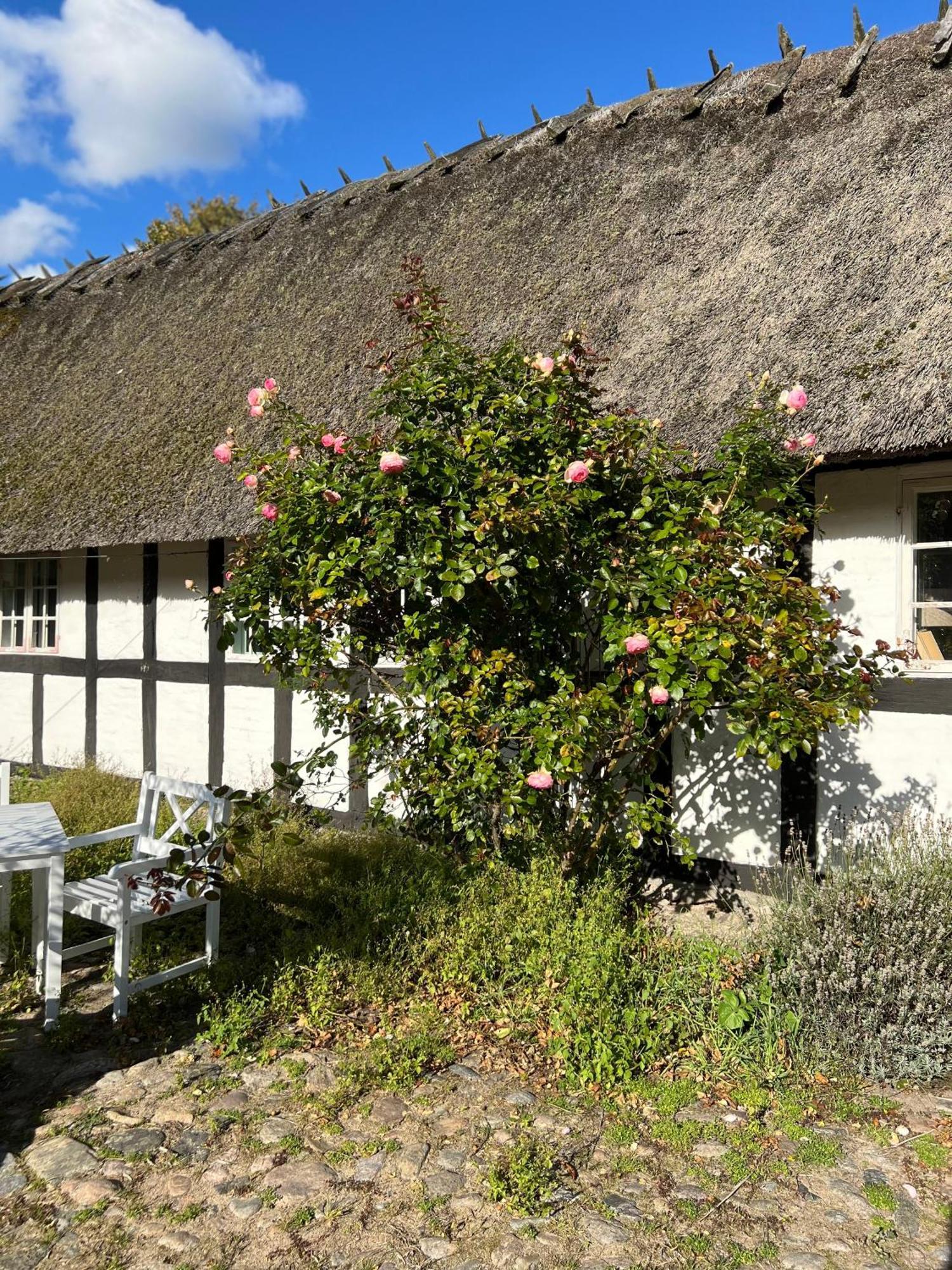 Solbjerggaard Bed & Breakfast Fåborg Exterior foto