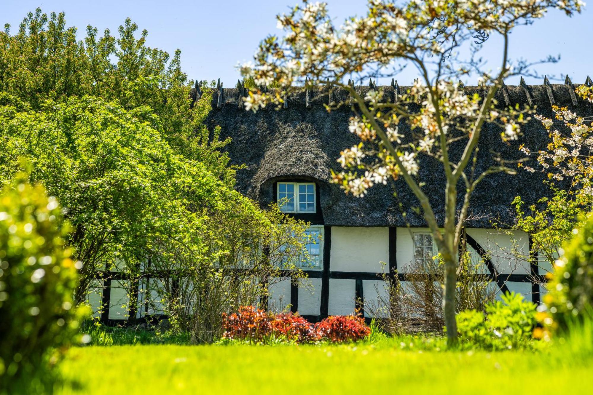 Solbjerggaard Bed & Breakfast Fåborg Exterior foto