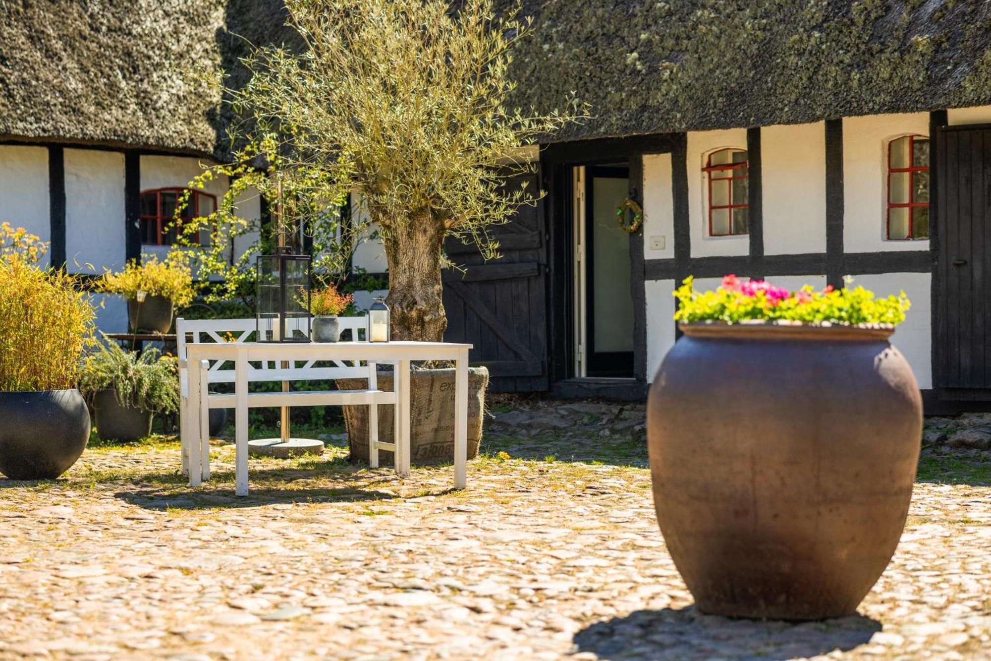 Solbjerggaard Bed & Breakfast Fåborg Exterior foto